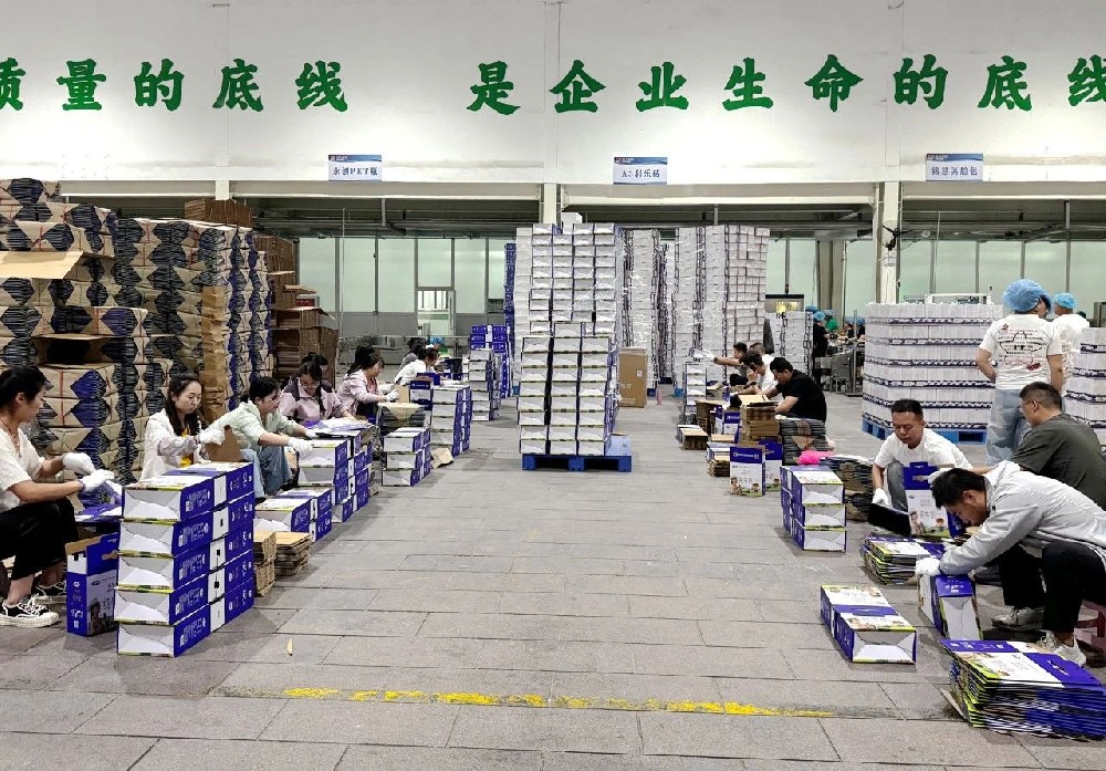 職能部門下沉一線，同心筑牢生產(chǎn)“保障線”